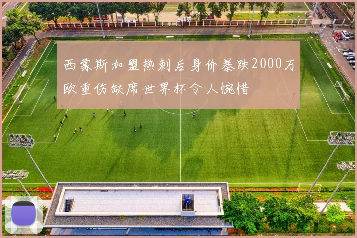 西蒙斯加盟热刺后身价暴跌2000万欧重伤缺席世界杯令人惋惜