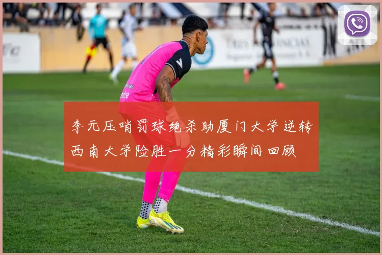 李元压哨罚球绝杀助厦门大学逆转西南大学险胜一分精彩瞬间回顾